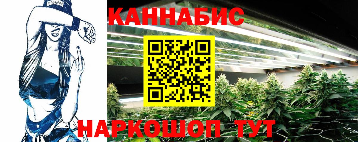 Марихуана White Widow Великий Новгород